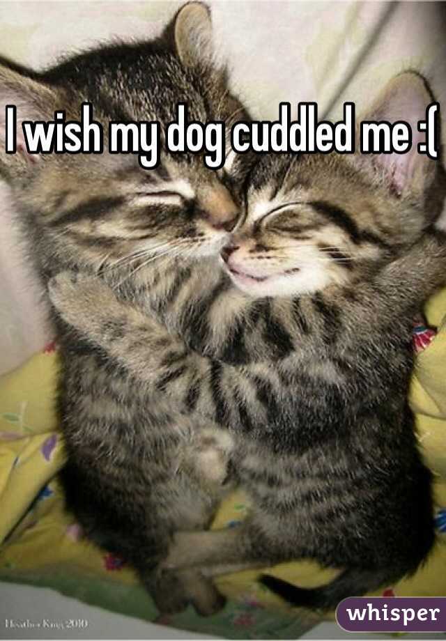I wish my dog cuddled me :(