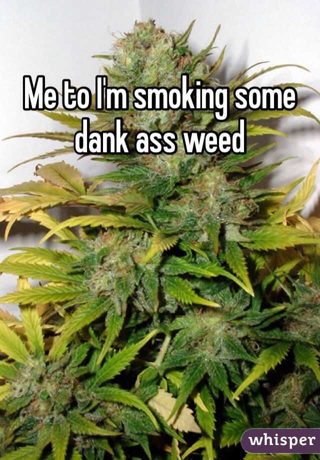 Me to I'm smoking some dank ass weed 