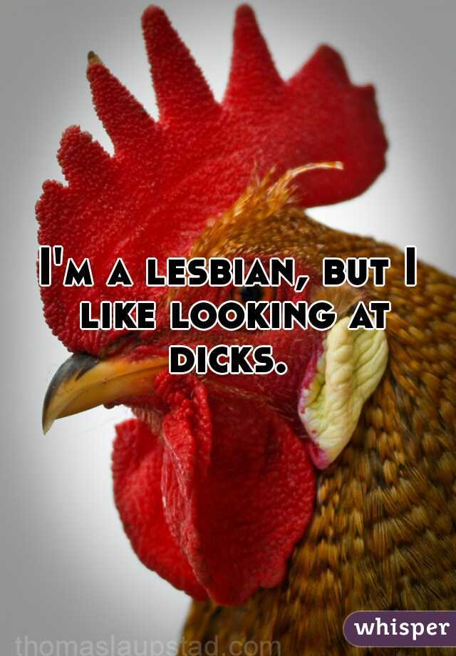 I'm a lesbian, but I like looking at dicks. 