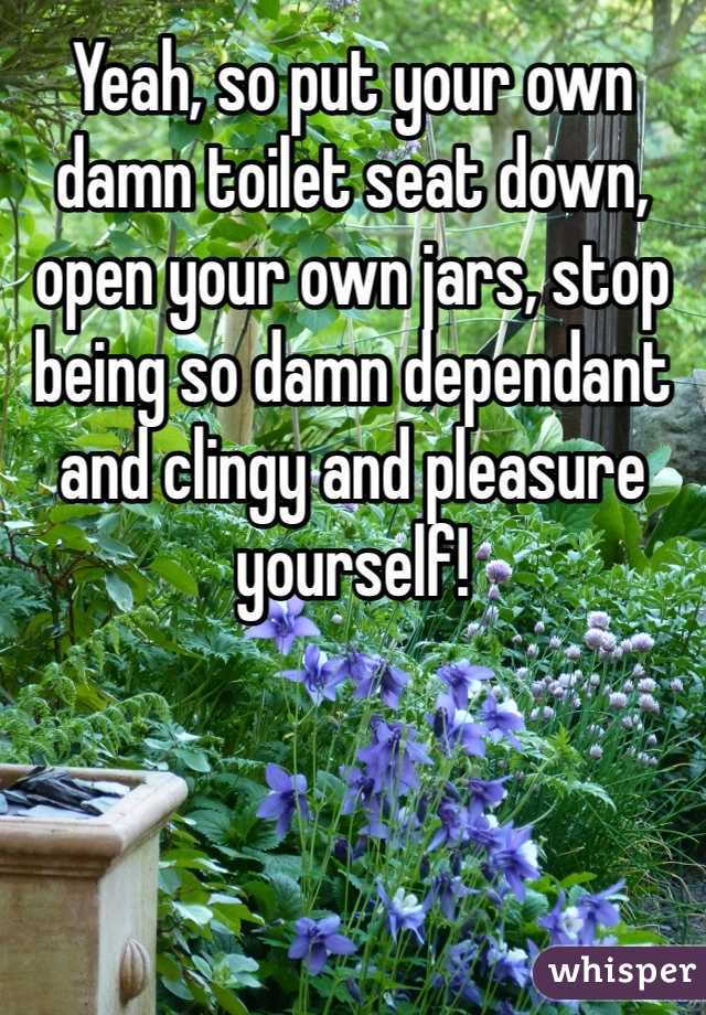 Yeah, so put your own damn toilet seat down, open your own jars, stop being so damn dependant and clingy and pleasure yourself!