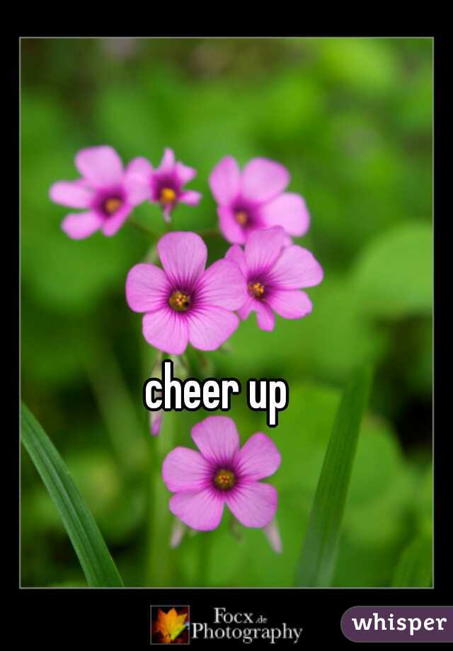 cheer up 