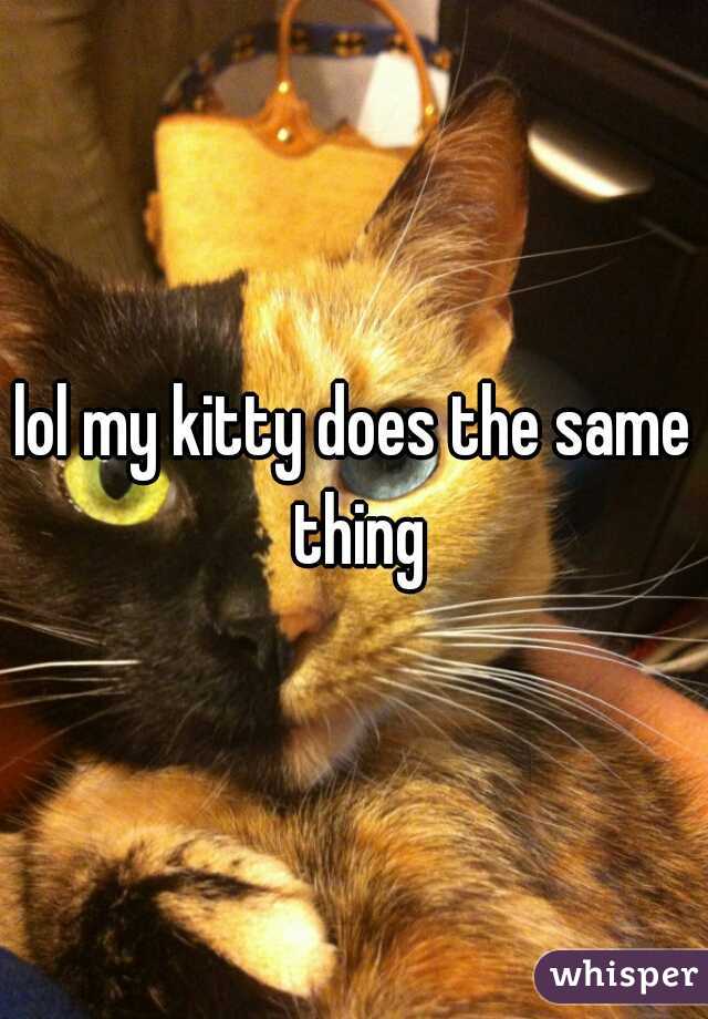 lol my kitty does the same thing