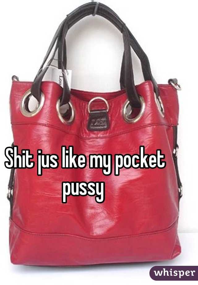 Shit jus like my pocket pussy 