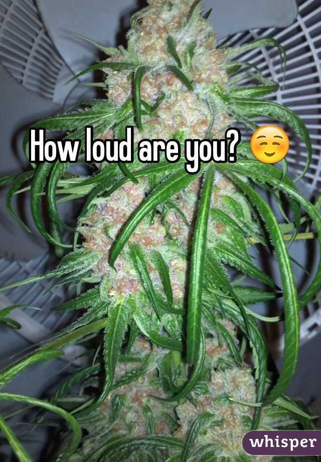 How loud are you? ☺️