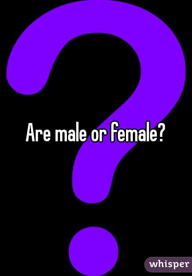Are male or female?
