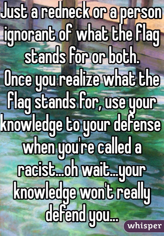 Just a redneck or a person ignorant of what the flag stands for or both.
Once you realize what the flag stands for, use your knowledge to your defense when you're called a racist...oh wait...your knowledge won't really defend you...