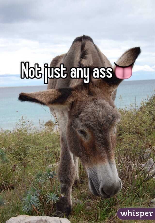 Not just any ass👅