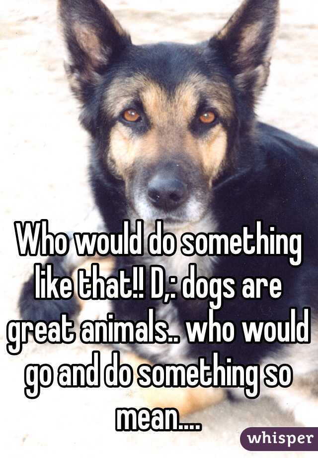 Who would do something like that!! D,: dogs are great animals.. who would go and do something so mean....