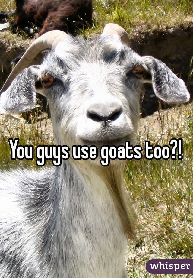 You guys use goats too?! 