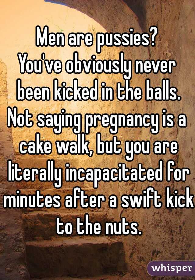 Men are pussies?
You've obviously never been kicked in the balls.
Not saying pregnancy is a cake walk, but you are literally incapacitated for minutes after a swift kick to the nuts.