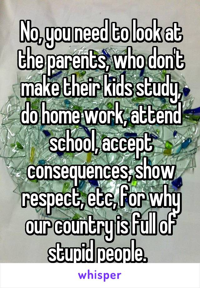 No, you need to look at the parents, who don't make their kids study, do home work, attend school, accept consequences, show respect, etc, for why our country is full of stupid people.  