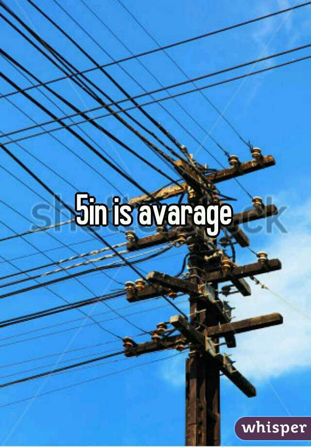 5in is avarage