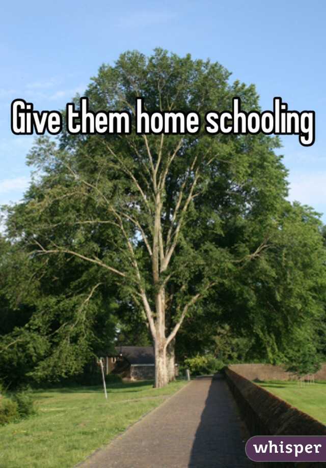Give them home schooling 