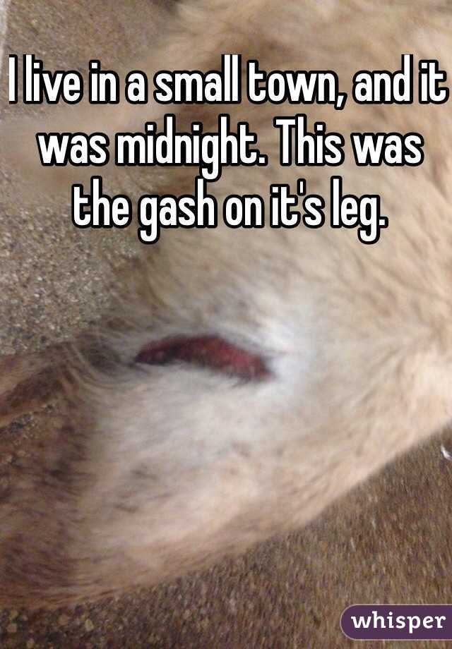 I live in a small town, and it was midnight. This was the gash on it's leg.