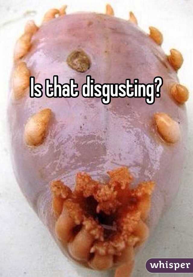 Is that disgusting?