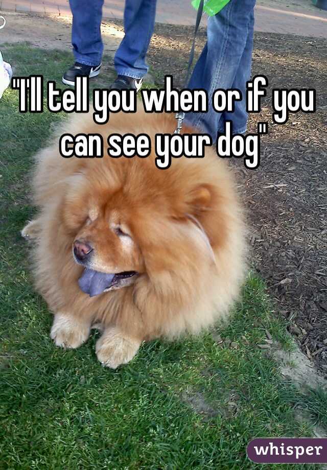 "I'll tell you when or if you can see your dog"