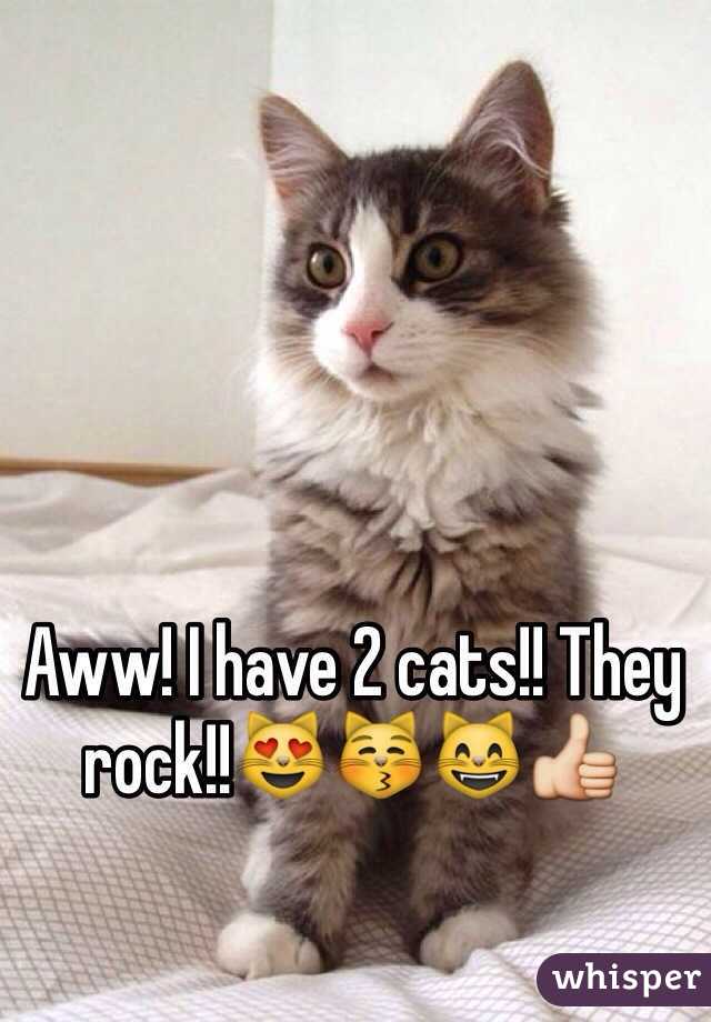 Aww! I have 2 cats!! They rock!!😻😽😸👍