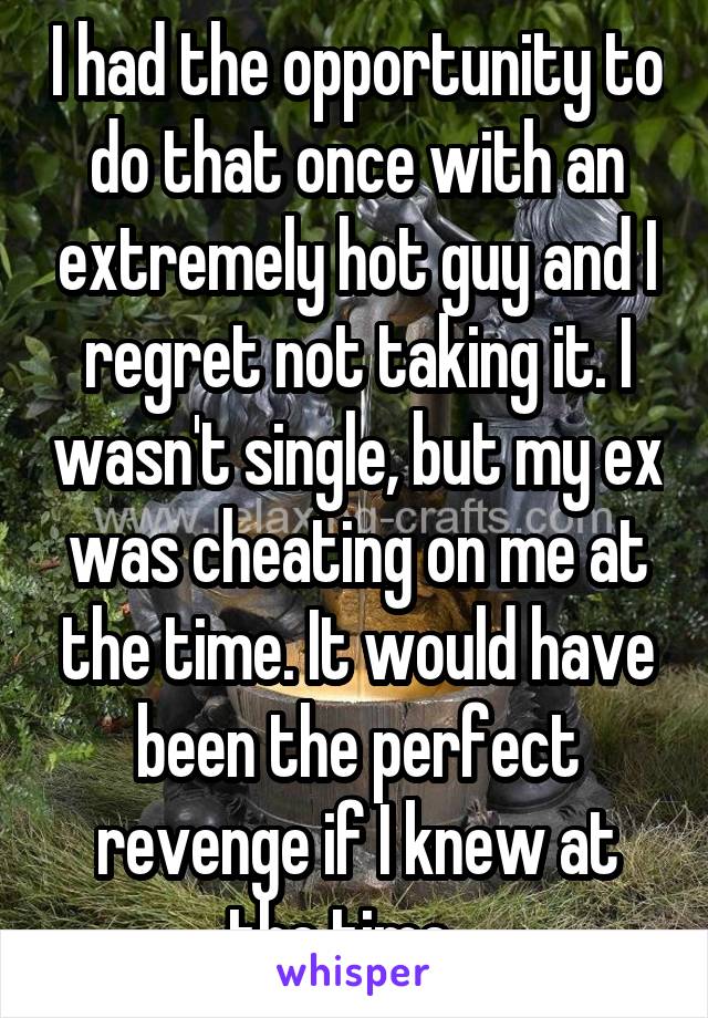 I had the opportunity to do that once with an extremely hot guy and I regret not taking it. I wasn't single, but my ex was cheating on me at the time. It would have been the perfect revenge if I knew at the time.  