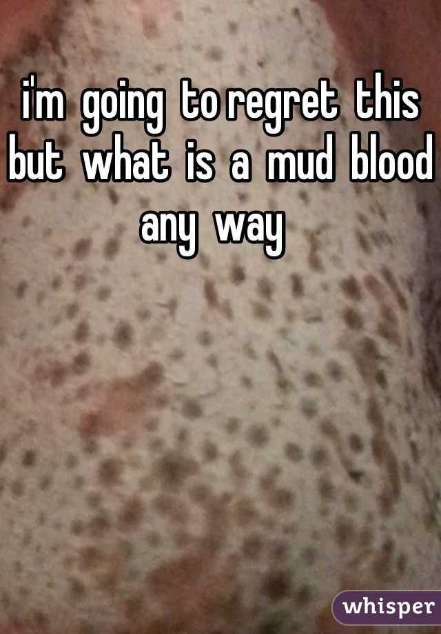 i'm  going  to regret  this  but  what  is  a  mud  blood  any  way  