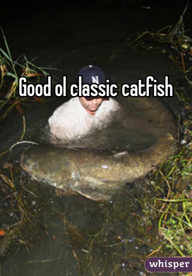 Good ol classic catfish