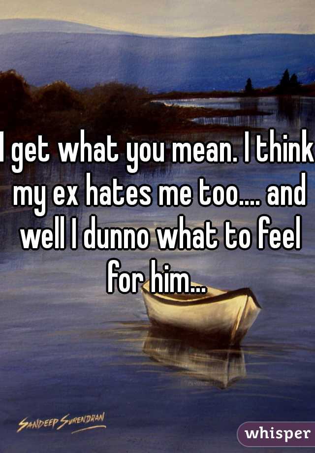I get what you mean. I think my ex hates me too.... and well I dunno what to feel for him... 