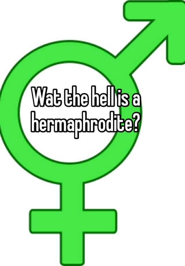 Wat The Hell Is A Hermaphrodite