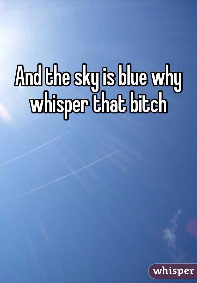 And the sky is blue why whisper that bitch