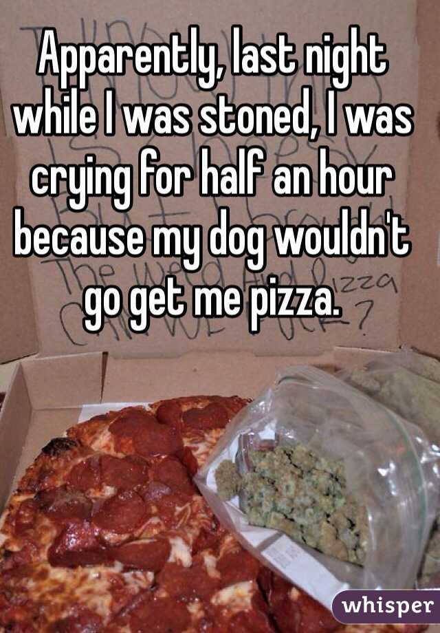 Apparently, last night while I was stoned, I was crying for half an hour because my dog wouldn't go get me pizza. 