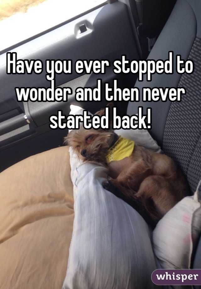 Have you ever stopped to wonder and then never started back!