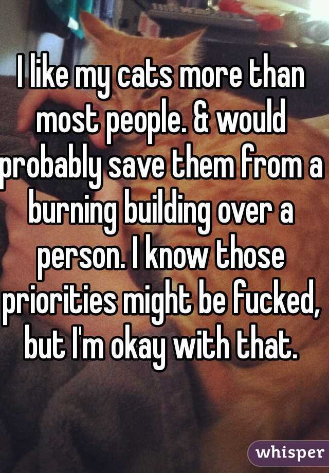 I like my cats more than most people. & would probably save them from a burning building over a person. I know those priorities might be fucked, but I'm okay with that. 