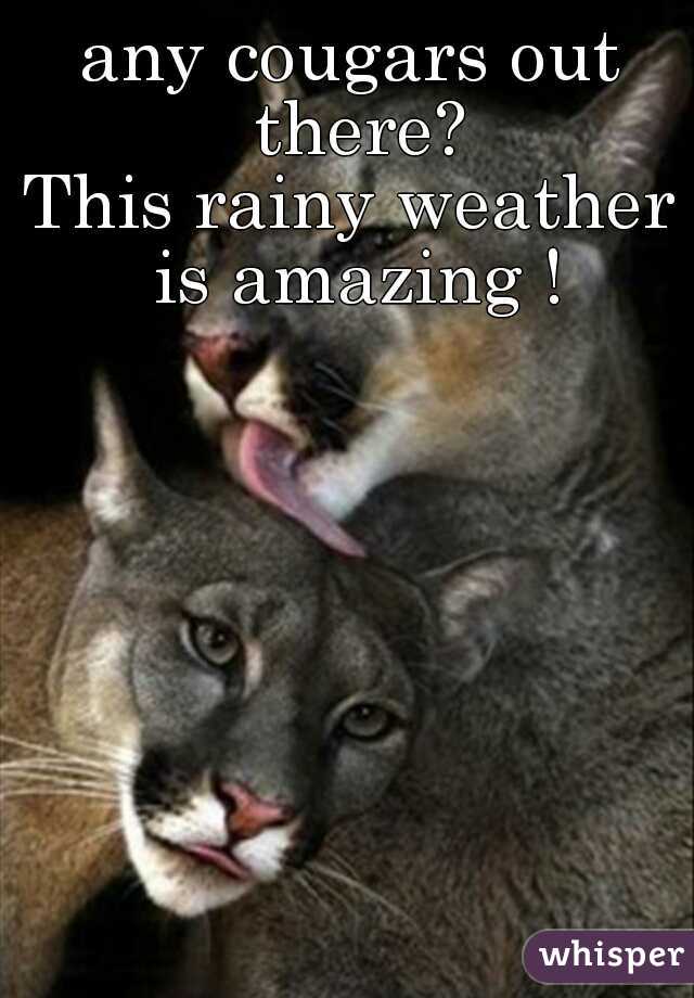any cougars out there?
This rainy weather is amazing !