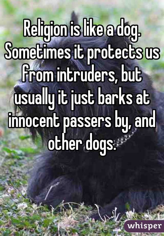 Religion is like a dog.
Sometimes it protects us from intruders, but usually it just barks at innocent passers by, and other dogs.