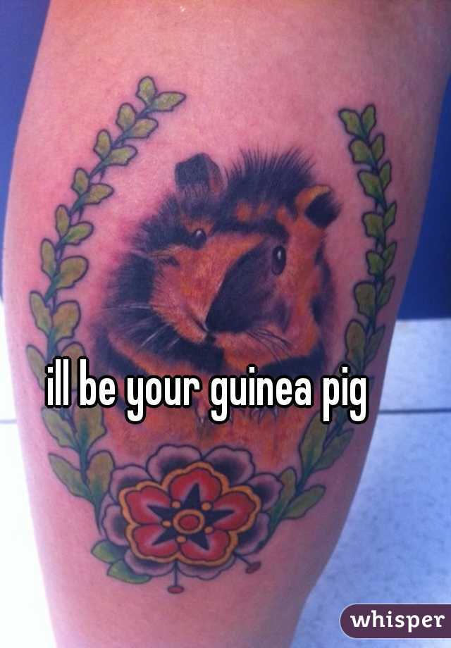 ill be your guinea pig
