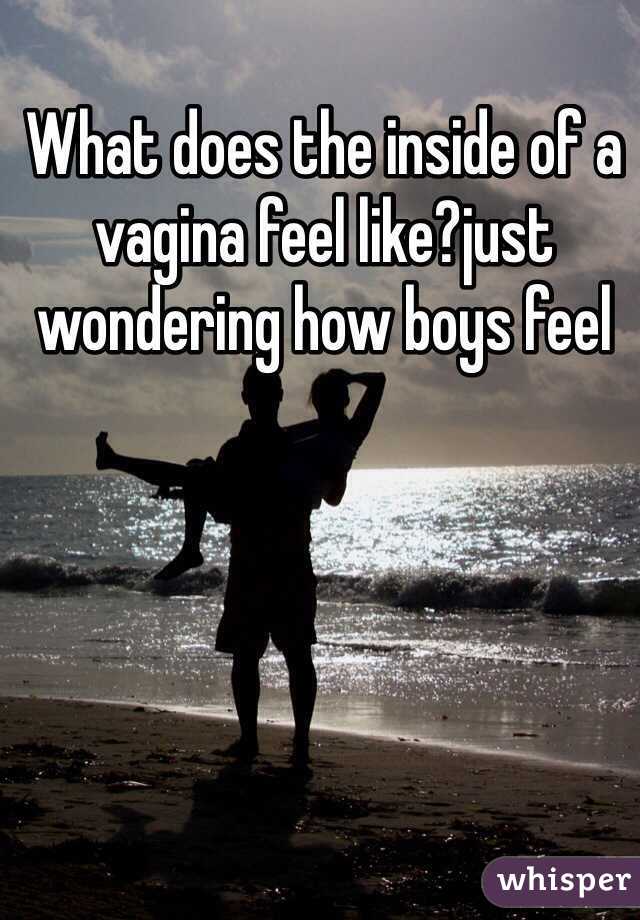 What does the inside of a vagina feel like?just wondering how boys feel 
