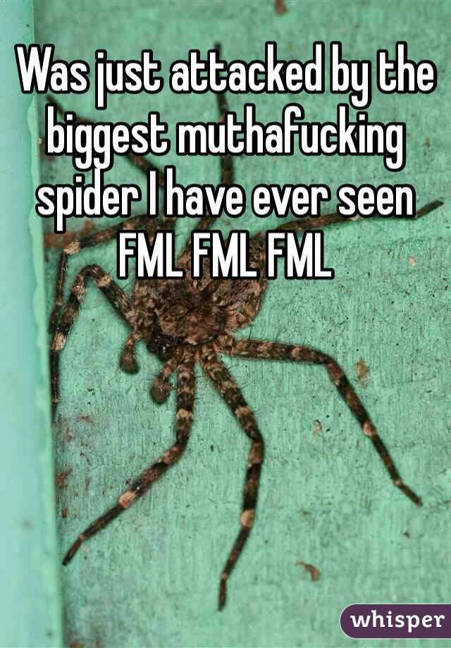 Was just attacked by the biggest muthafucking spider I have ever seen FML FML FML