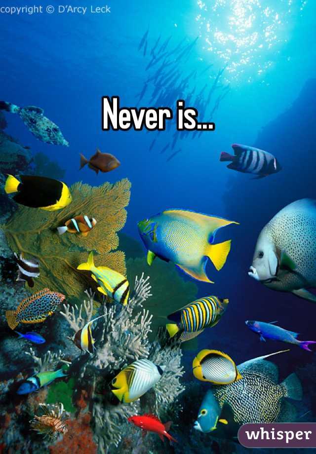 Never is...