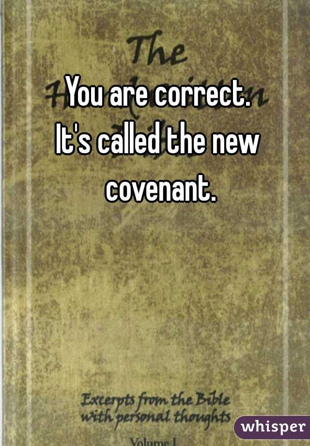 You are correct.
It's called the new covenant.