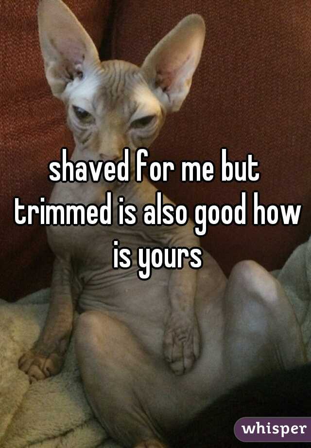 shaved for me but trimmed is also good how is yours