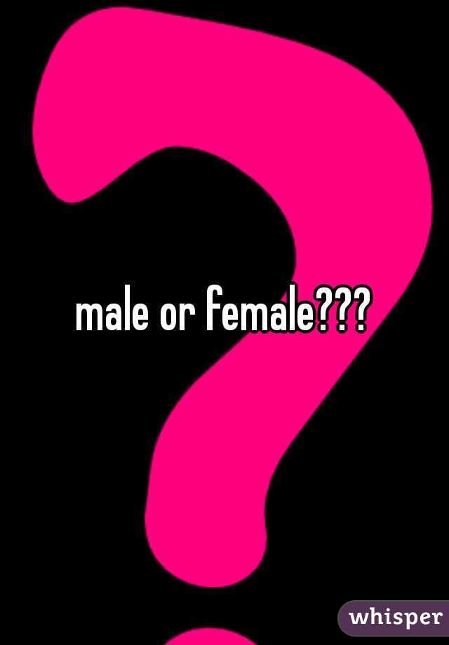 male or female???