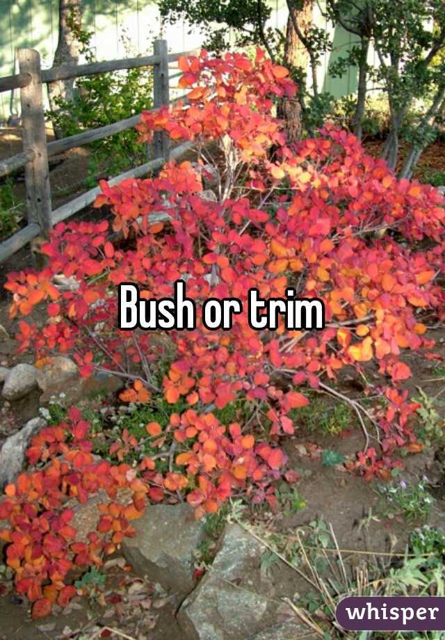 Bush or trim