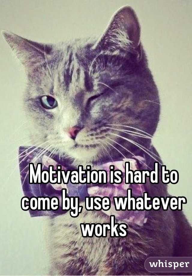 Motivation is hard to come by, use whatever works