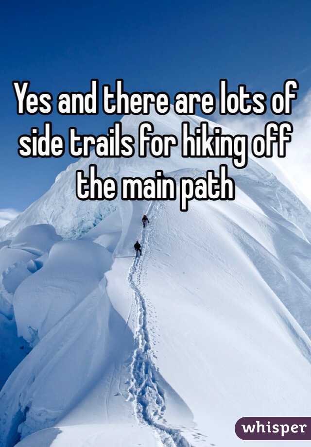Yes and there are lots of side trails for hiking off the main path