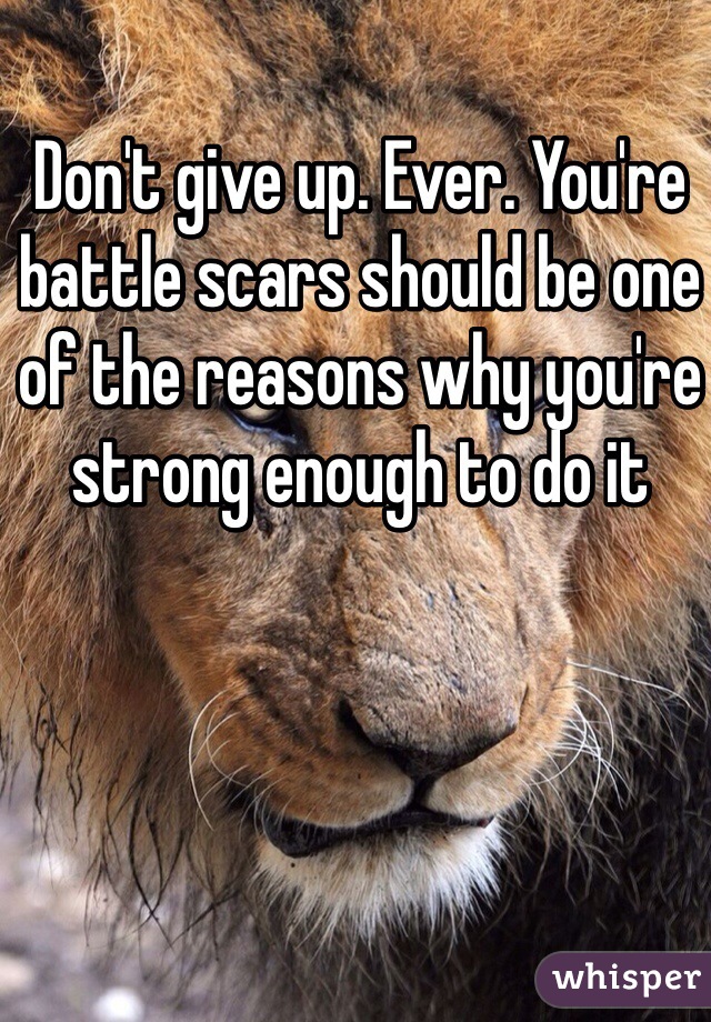 Don't give up. Ever. You're battle scars should be one of the reasons why you're strong enough to do it 