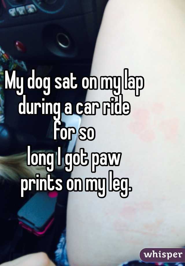 My dog sat on my lap 
during a car ride 
for so 
long I got paw
 prints on my leg.