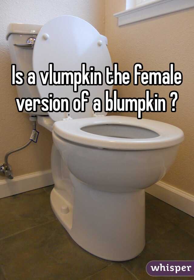 Is a vlumpkin the female version of a blumpkin ?