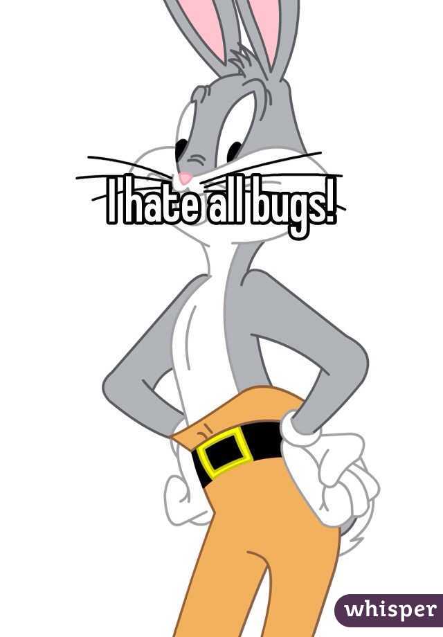 I hate all bugs!