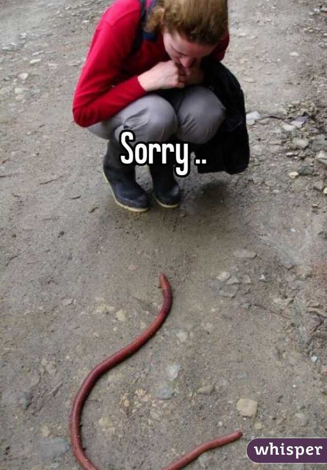 Sorry .. 
