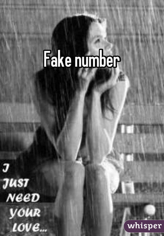 Fake number