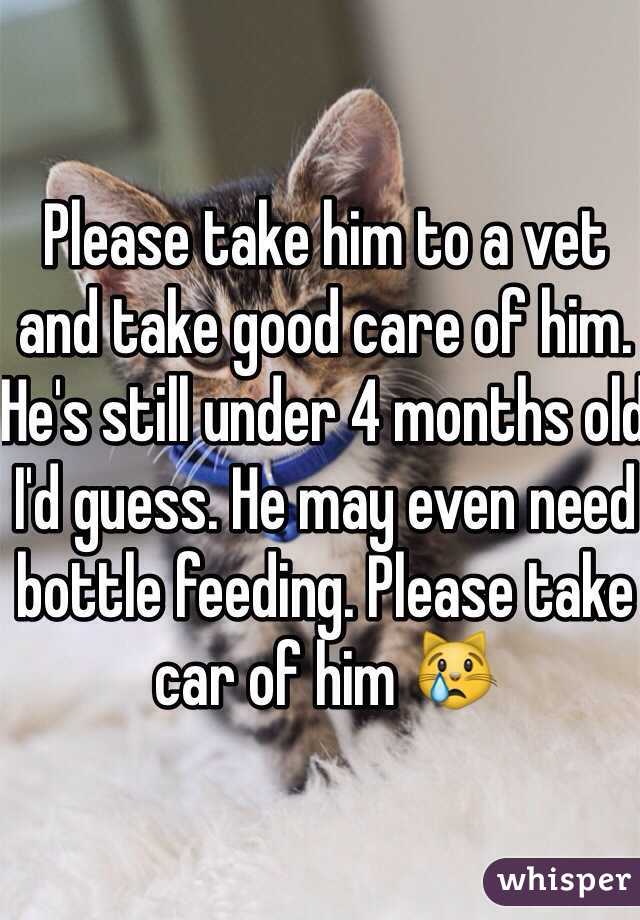 Please take him to a vet and take good care of him. He's still under 4 months old I'd guess. He may even need bottle feeding. Please take car of him 😿