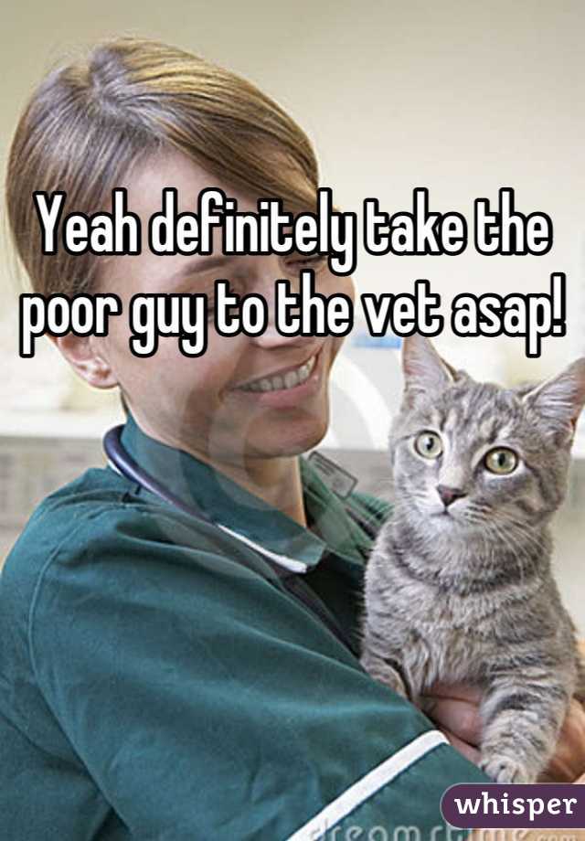 Yeah definitely take the poor guy to the vet asap!